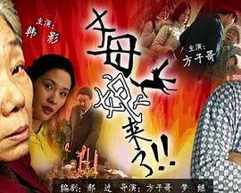 爱寻迷